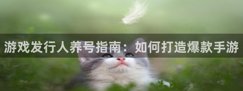 新城平台线路登录
