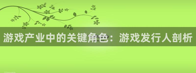 新城平台线路登录不上去怎么回事儿