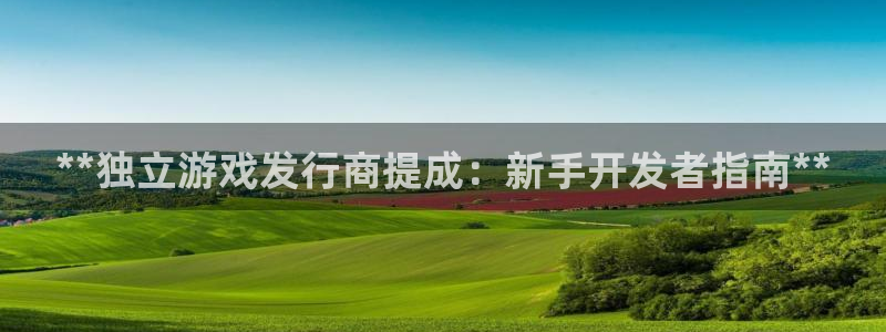 新城平台公司