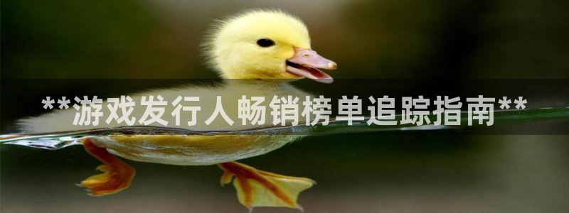 新城平台是正规平台吗