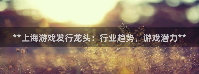 新城平台平台