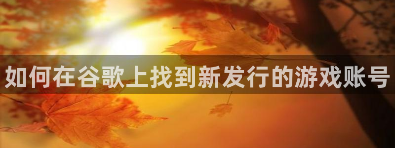 新城平台注册登录地址怎么填