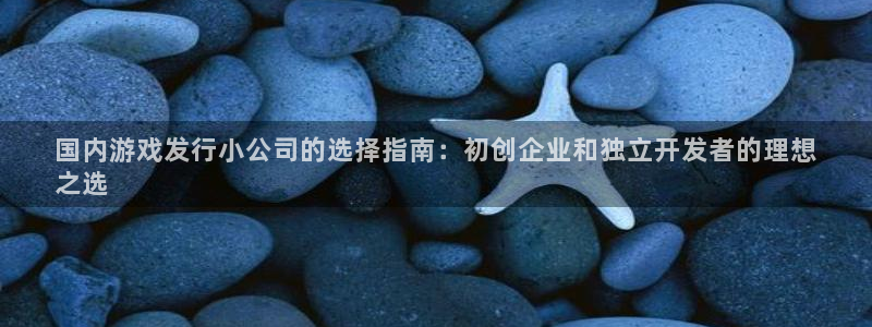 新城平台是干嘛的公司啊
