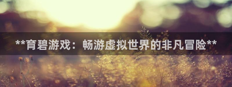 新城平台登录密码忘了怎么找回