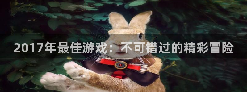 新城平台平台