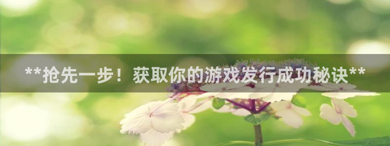 新城平台线路登录不上去怎么回事呢