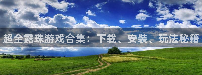 新城平台线路登录不上去怎么办