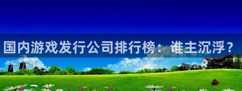 新城平台注册流程图