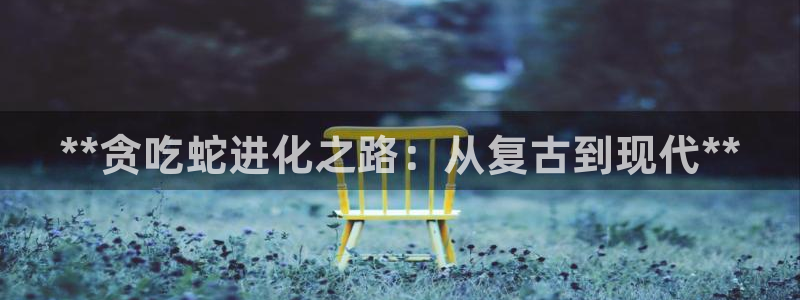 新城平台负责人电话