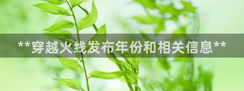 新城平台线路登录不上去怎么回事呢