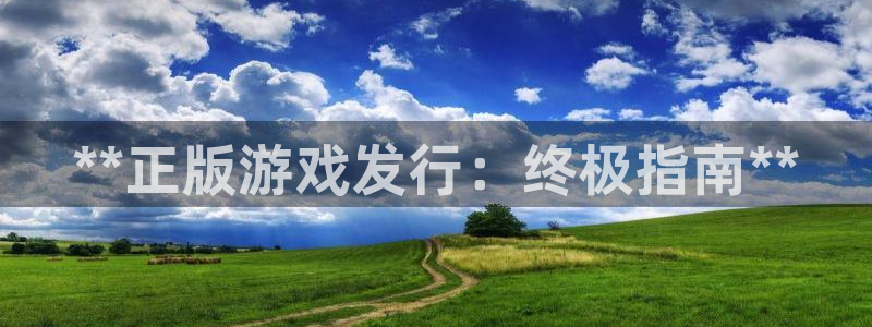 新城平台注册流程