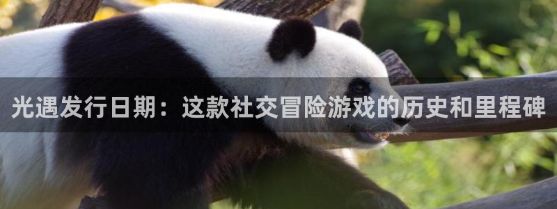 新城平台登录入口官网网址是什么