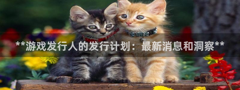 新城平台平台