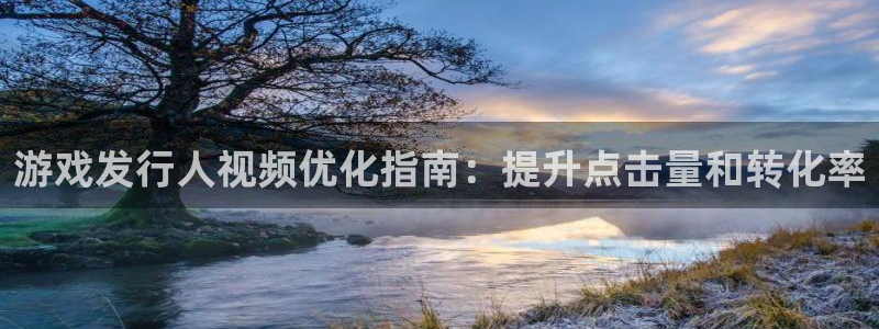 新城平台注册公司流程图