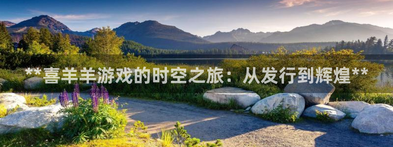 新城平台登录入口官网下载手机版