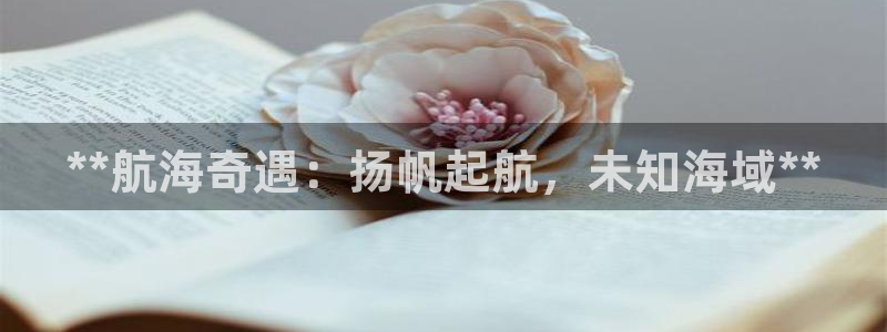 新城平台负责人