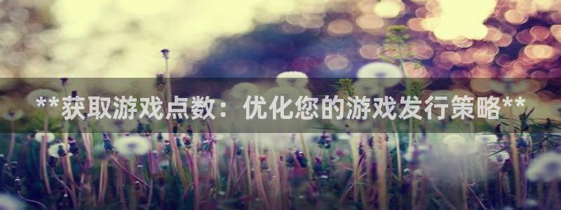 新城平台注册资金多少合适