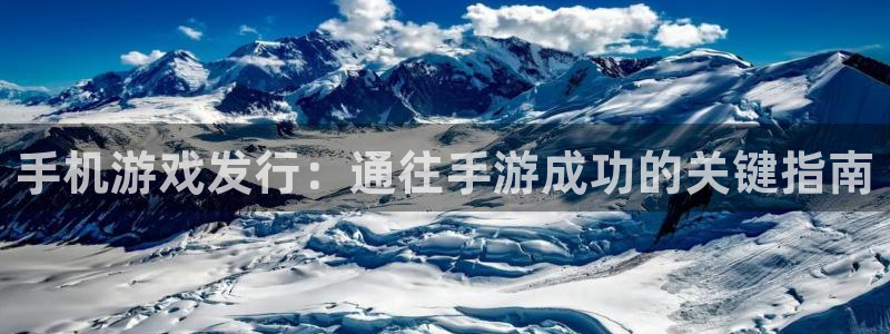 新城平台登录入口