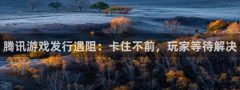 新城平台线路登录不上去了