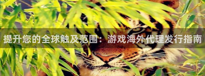 新城平台属于哪个系列