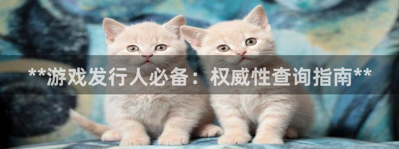新城平台平台最新活动有哪些