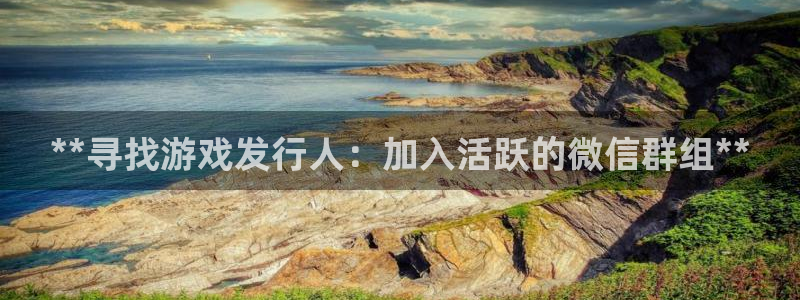 新城平台登录入口官网首页下载