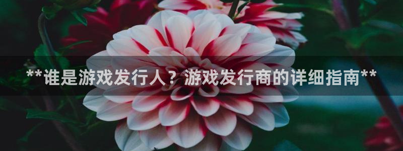新城平台代理电话