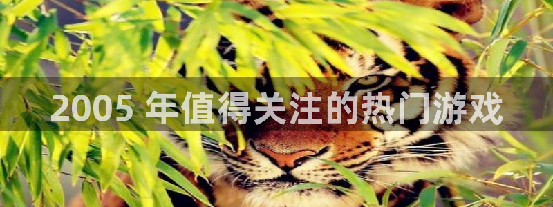新城平台属于哪个系列