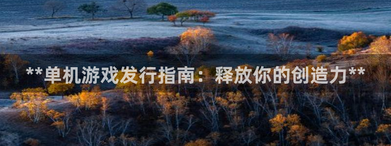 新城平台注册资金多少钱