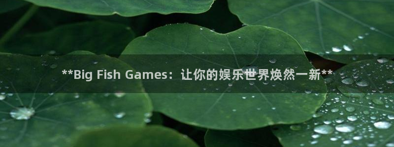 新城平台记7O777