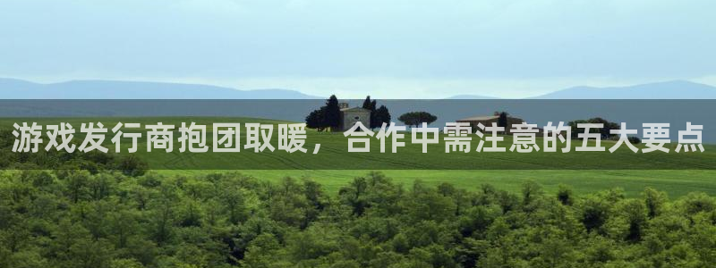 新城平台注册登录地址是什么