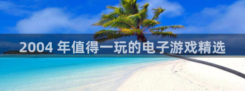 新城平台登录入口官网查询：2004 年值得一玩的电子游戏精选