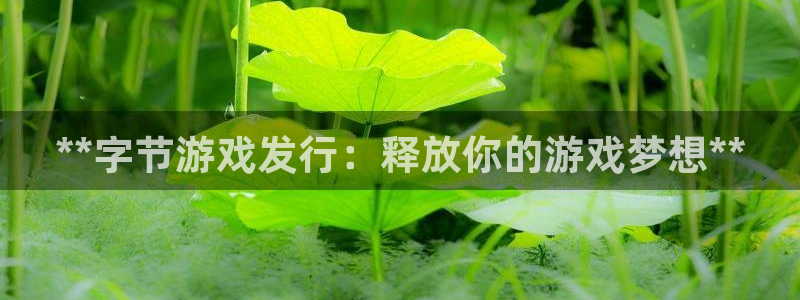 新城平台登录入口官网首页：**字节游戏发行：释放你的游戏梦想**