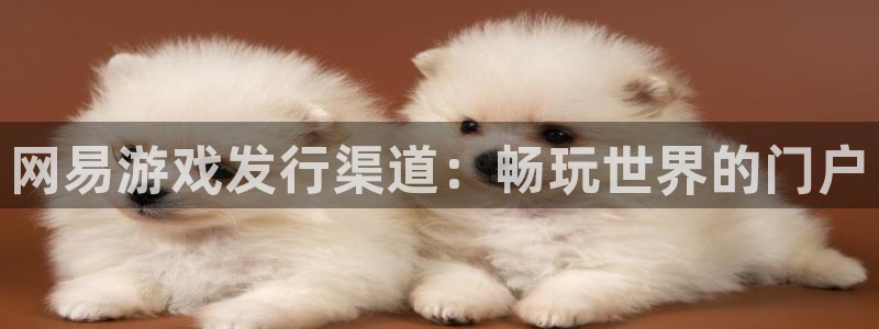 新城平台登陆：网易游戏发行渠道：畅玩世界的门户