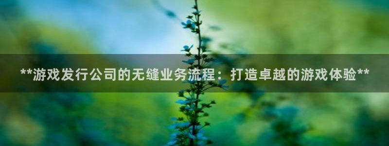 新城平台负责人名单：**游戏发行公司的无缝业务流程：打造卓越的游戏体验**