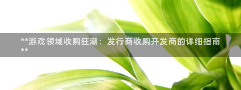 新城平台官网注册入口：**游戏领域收购狂潮：发行商收购开发商的详细指南
**