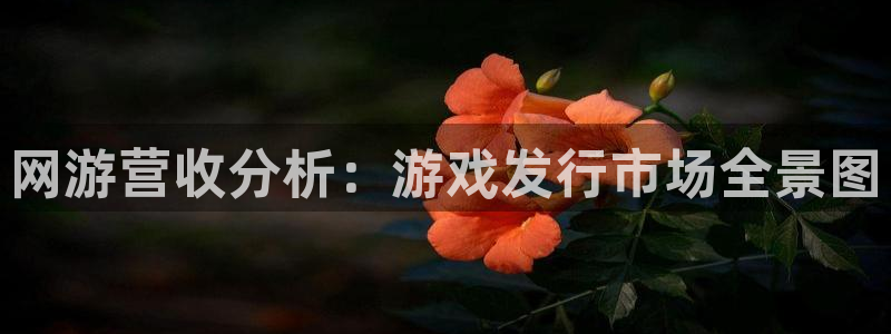 新城平台平台最新活动消息