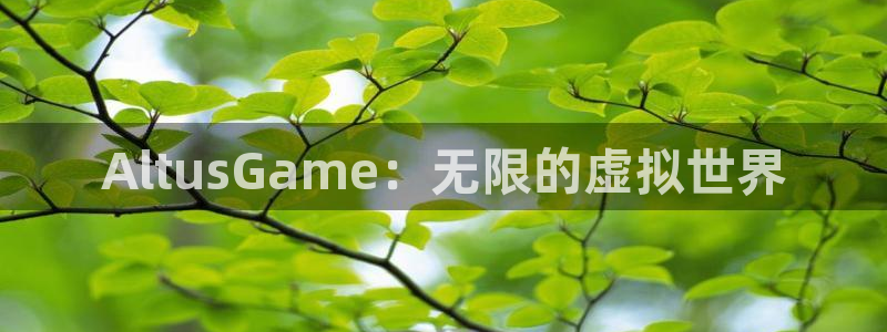 新城平台线路登录不上去怎么回事
