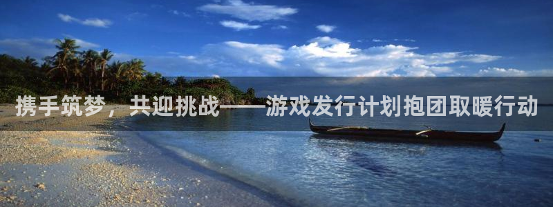 新城平台企业信息查询