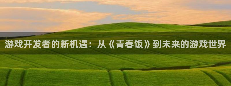 新城平台登录入口官网查询系统