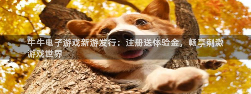 新城平台将7O777：牛牛电子游戏新游发行：注册送体验金，畅享刺激
游戏世界