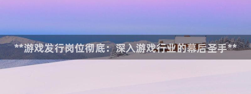 新城平台注册流程：**游戏发行岗位彻底：深入游戏行业的幕后圣手**