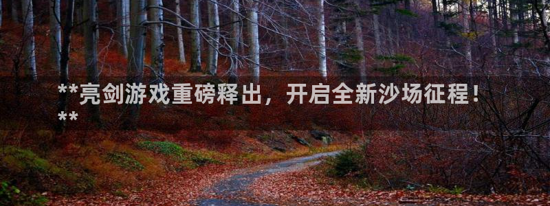 新城平台进·新城平台：**亮剑游戏重磅释出，开启全新沙场征程！
**