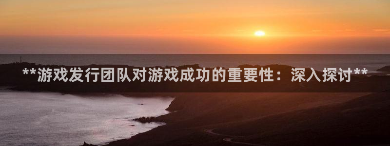 新城平台注册网址是多少：**游戏发行团队对游戏成功的重要性：深入探讨**