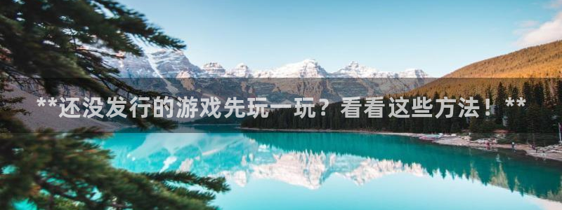新城平台登录入口网站：**还没发行的游戏先玩一玩？看看这些方法！**