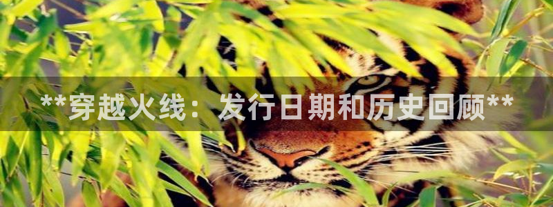 新城平台线路登录不上去怎么办：**穿越火线：发行日期和历史回顾**