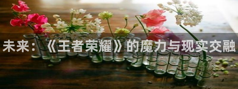 新城平台是干嘛的
