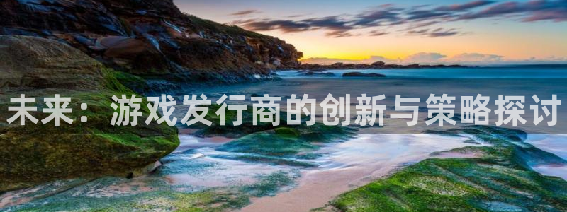 新城平台授权注册：未来：游戏发行商的创新与策略探讨