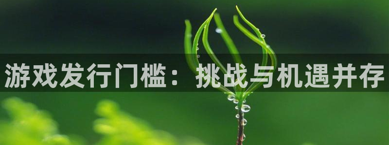 新城平台登录密码忘了怎么办：游戏发行门槛：挑战与机遇并存