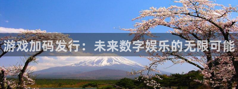 新城平台房7O777